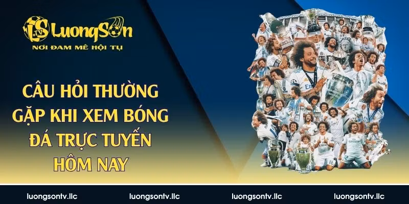 câu hỏi thường gặp